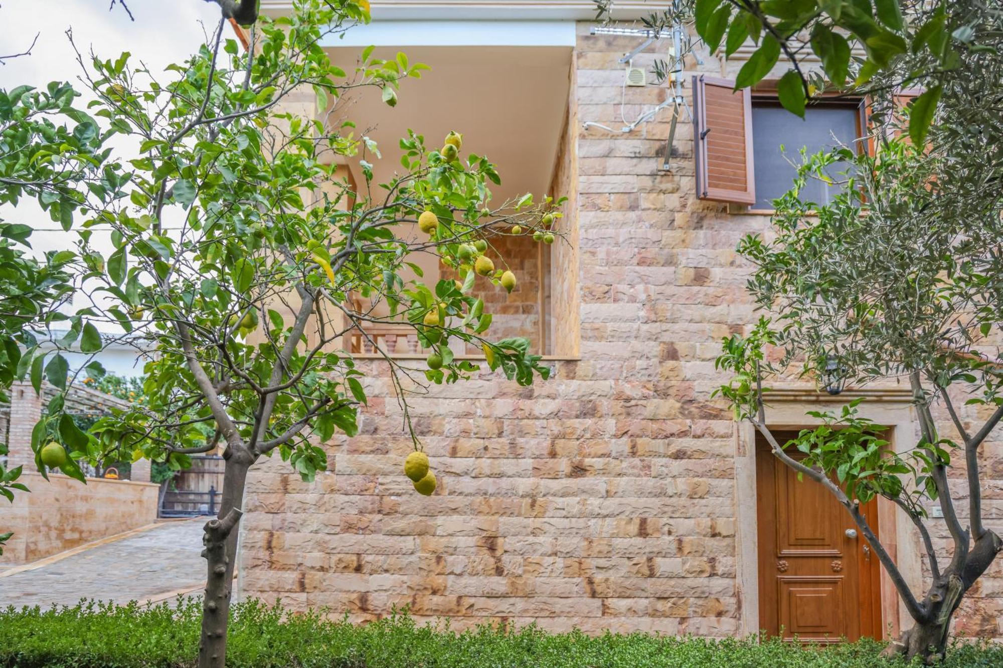 Archontiko Frideriki Luxury Apartments Хиос Экстерьер фото